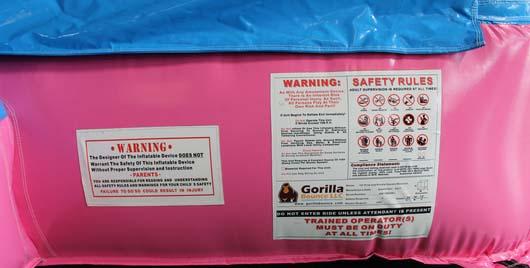 Purple Bouncer Bounce House Rentals, Delaware 14' Pink & Purple Bouncer