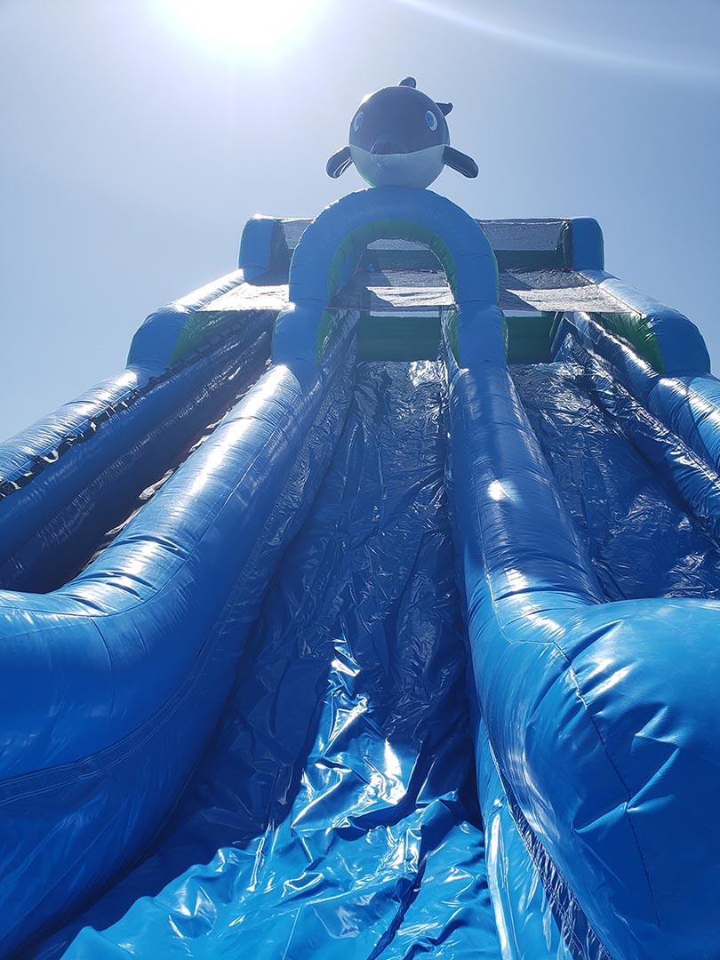 Bounce house rentals